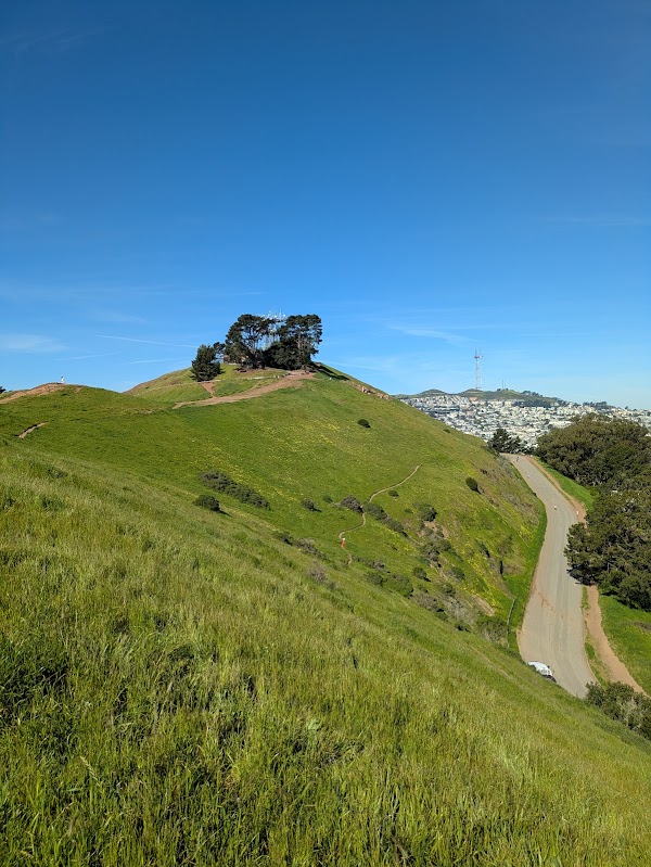 Bernal Heights Park 2