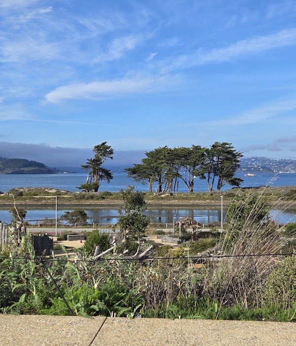 Presidio Tunnel Tops 4