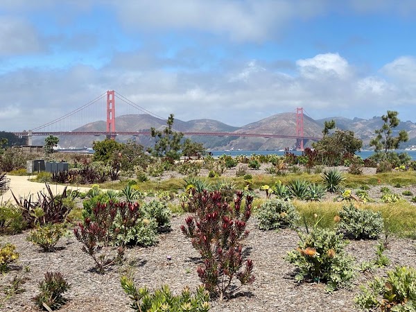 Presidio Tunnel Tops 3