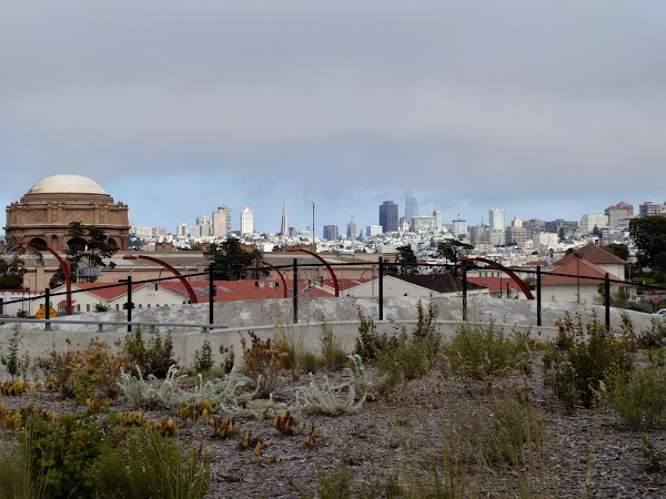 Presidio Tunnel Tops 2