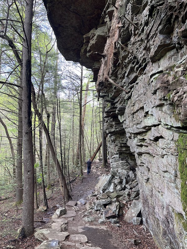 Piney Falls Trailhead 4