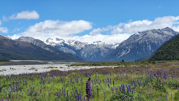 Arthur's Pass National Park 2
