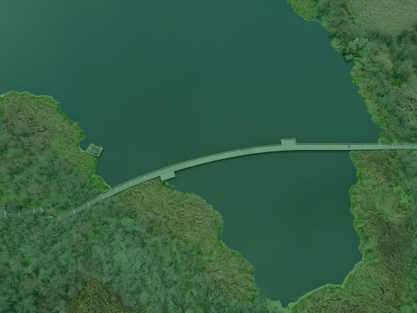 Swan Lake Nature Sanctuary 1