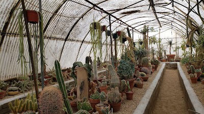 Moorten Botanical Garden 1