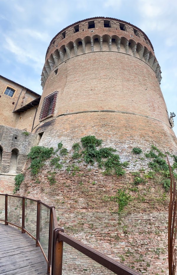 Dozza 3