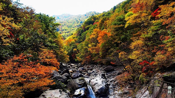 Jirisan National Park 2