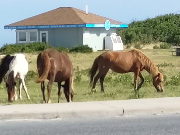 Assateague Island National Seashore Entrance Station 1