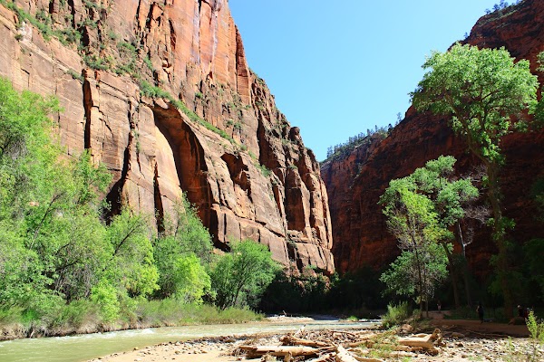 Temple of Sinawava 1