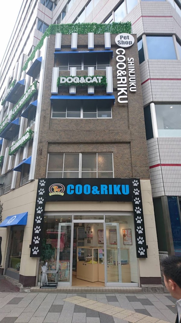 Coo and Riku petshop/cat cafe 2nd floor 1