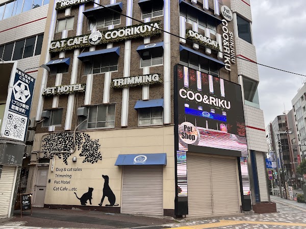 Coo and Riku petshop/cat cafe 2nd floor 3