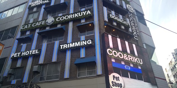 Coo and Riku petshop/cat cafe 2nd floor 2