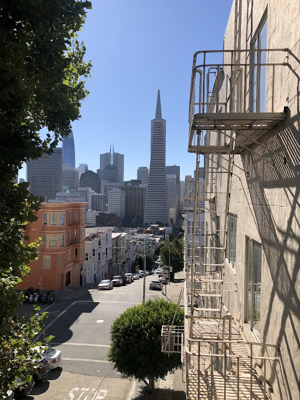 Telegraph Hill 5
