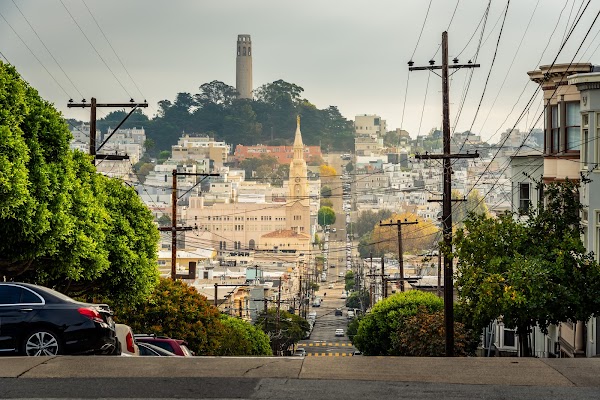 Telegraph Hill 4