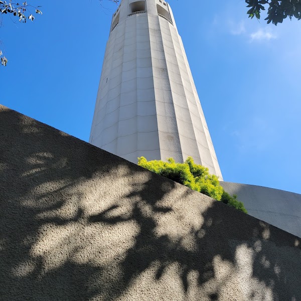 Telegraph Hill 3