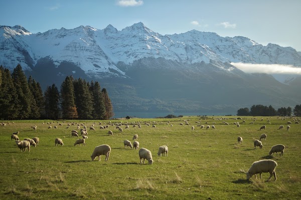 Glenorchy-Paradise Road 3