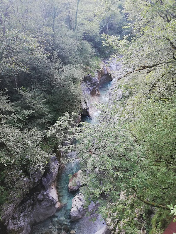Cerdevol Curnila 3