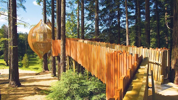 Redwoods Treehouse