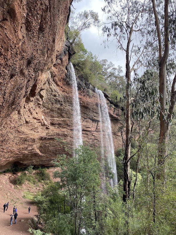 Paradise Falls