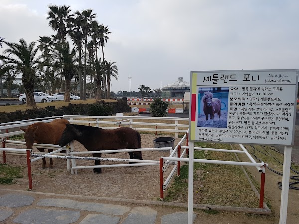 Raon The Ma Park 3