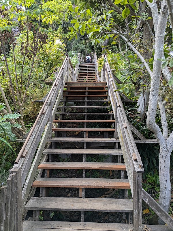 Filbert Steps