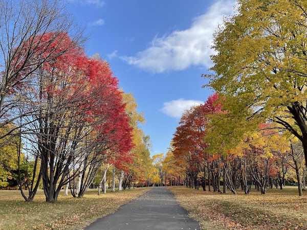 Makomanai Park 5