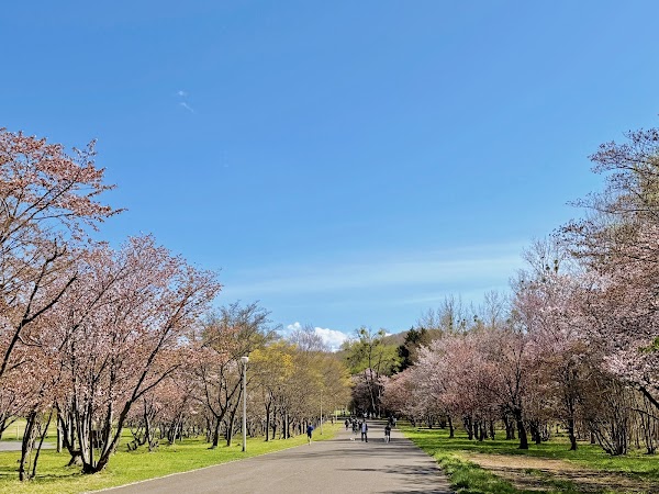 Makomanai Park 4