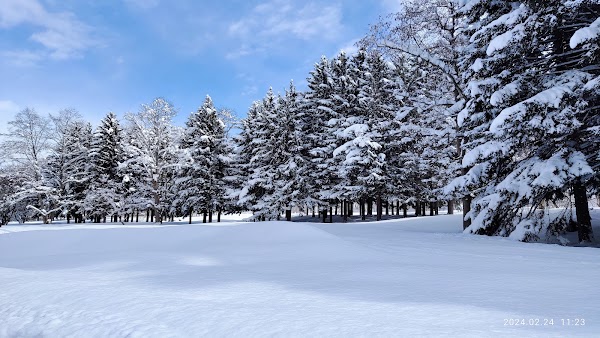 Makomanai Park 3