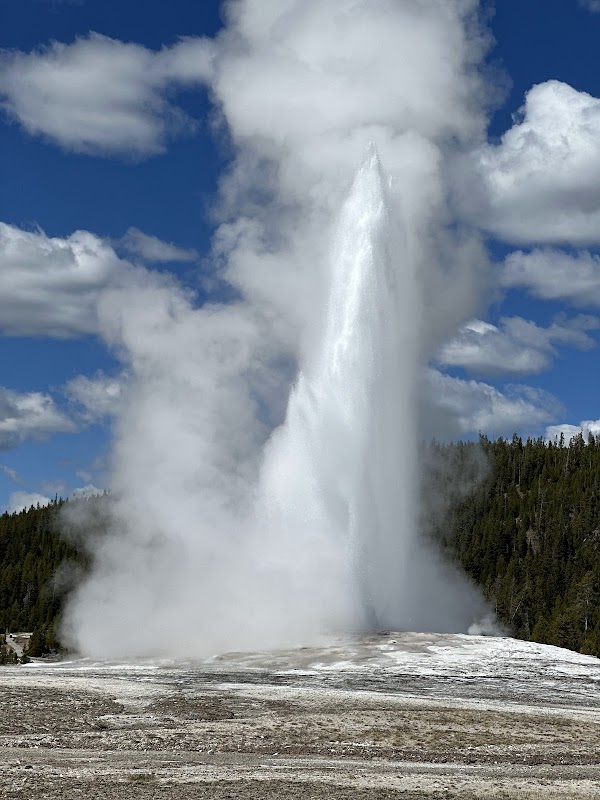 Old Faithful