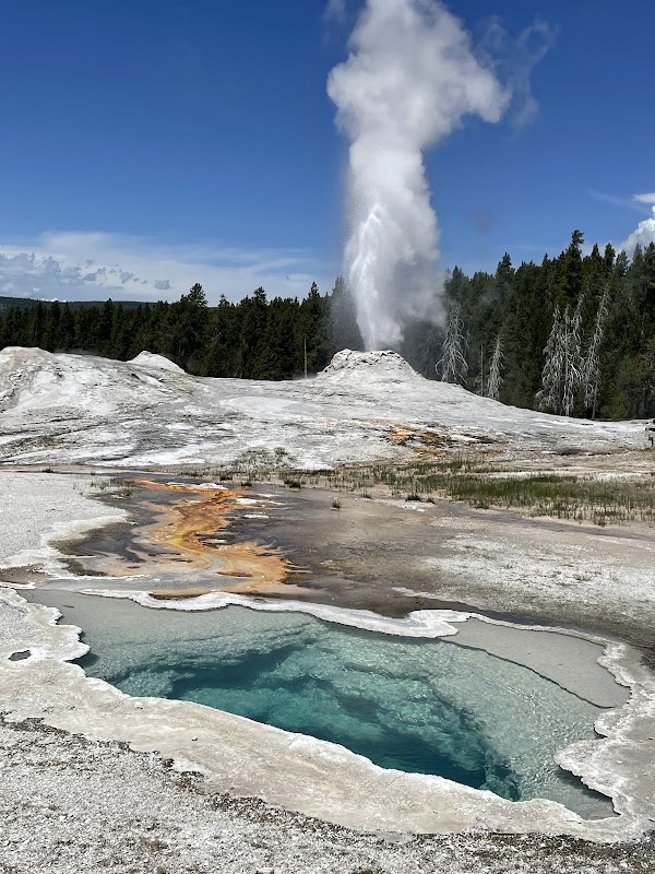 Old Faithful 2