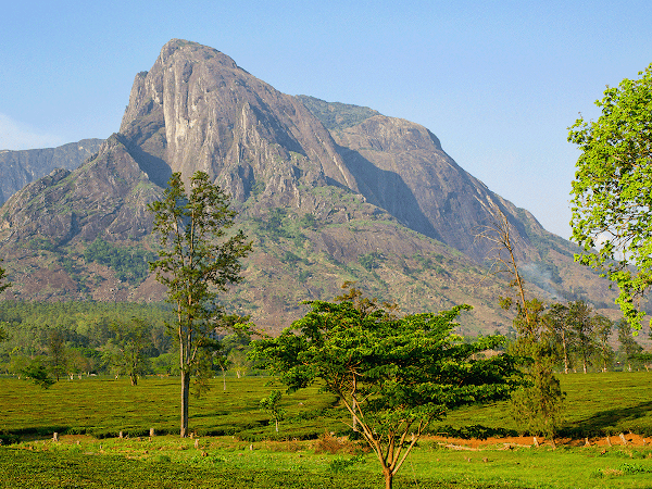 Mulanje Massif