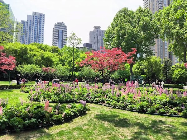 Zhongshan Park 5