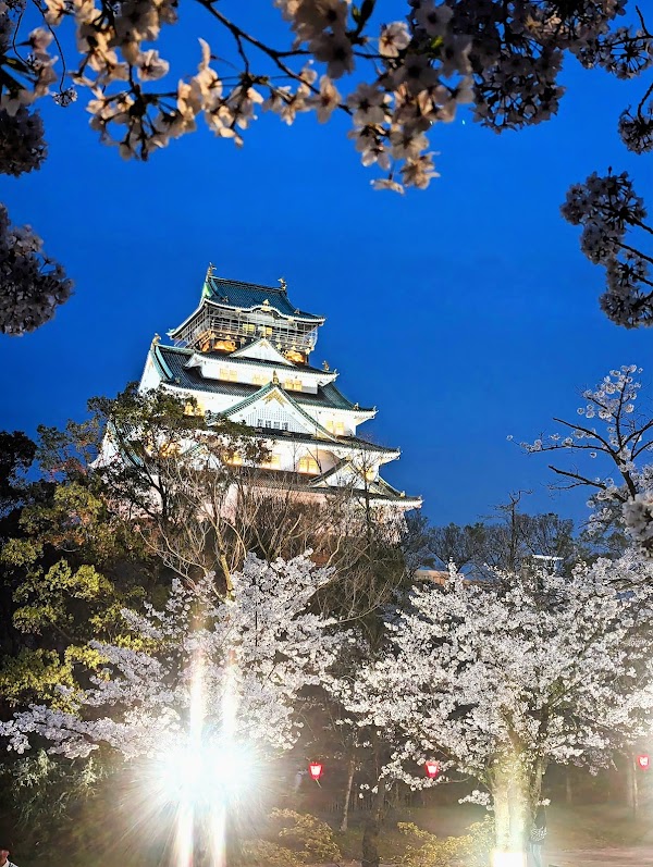 Nishinomaru Garden - Osaka Castle 5