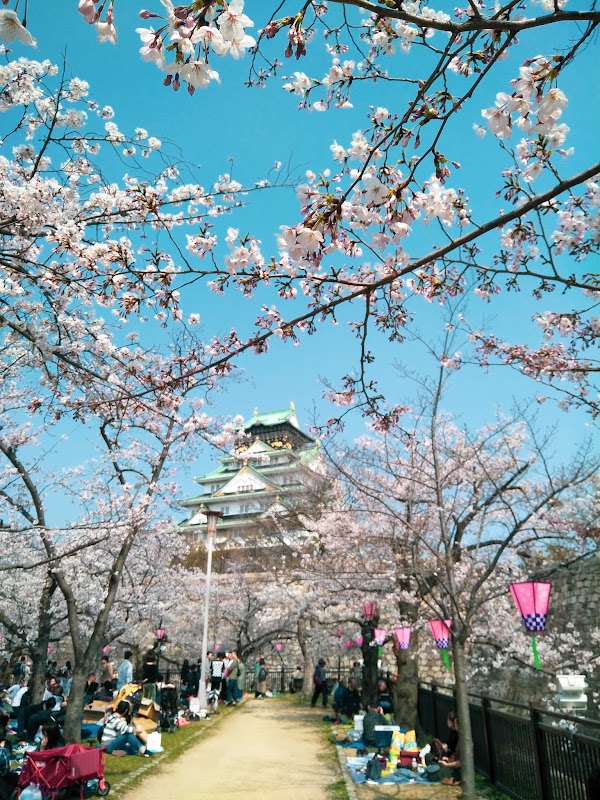 Nishinomaru Garden - Osaka Castle 2