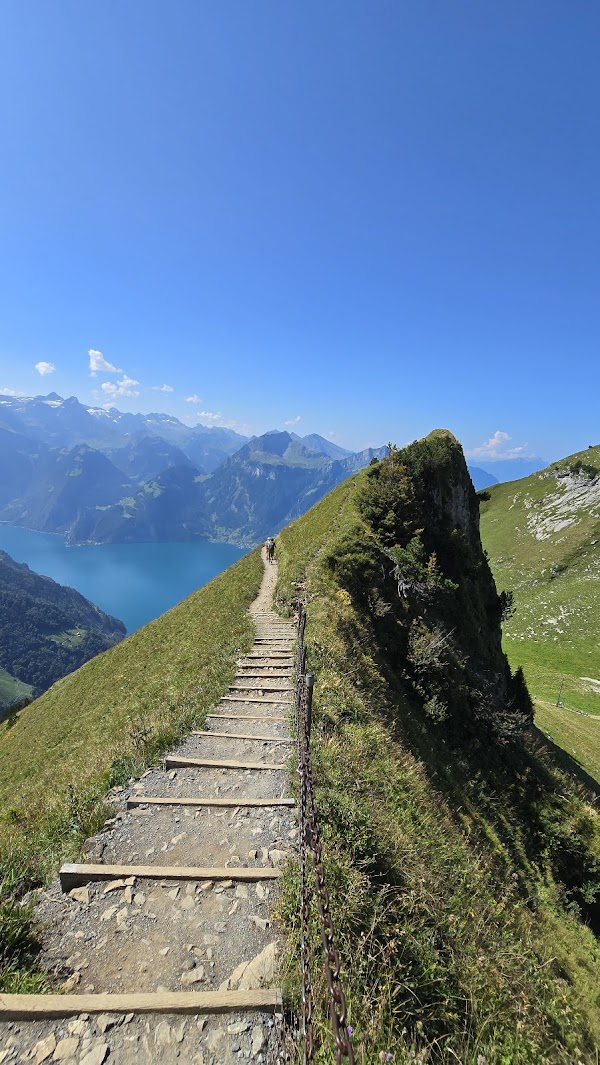 Fronalpstock 5