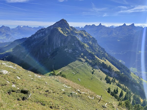 Fronalpstock 3