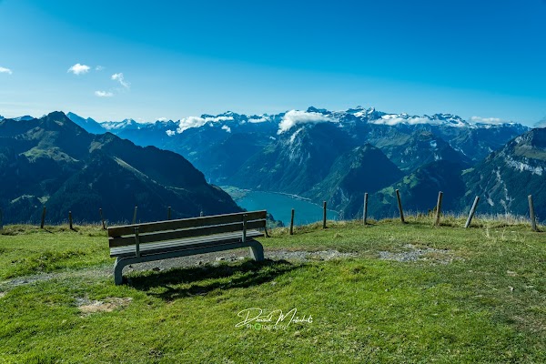 Fronalpstock 2
