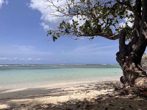 Plage de Bois Jolan