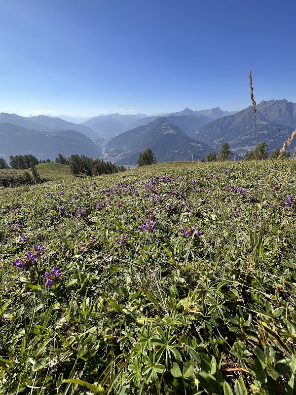 Gletschermühlen, Alp Mora 2