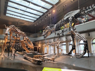 Natural History Museum of Los Angeles County 1