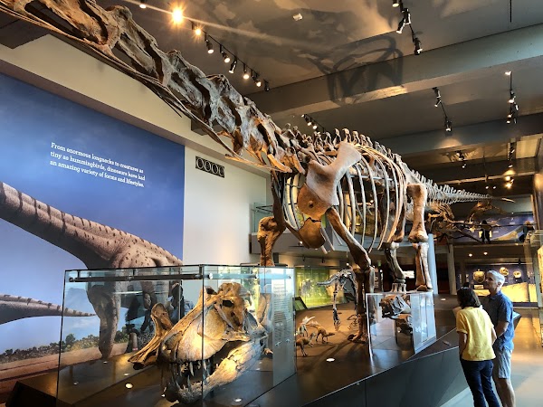 Natural History Museum of Los Angeles County 4