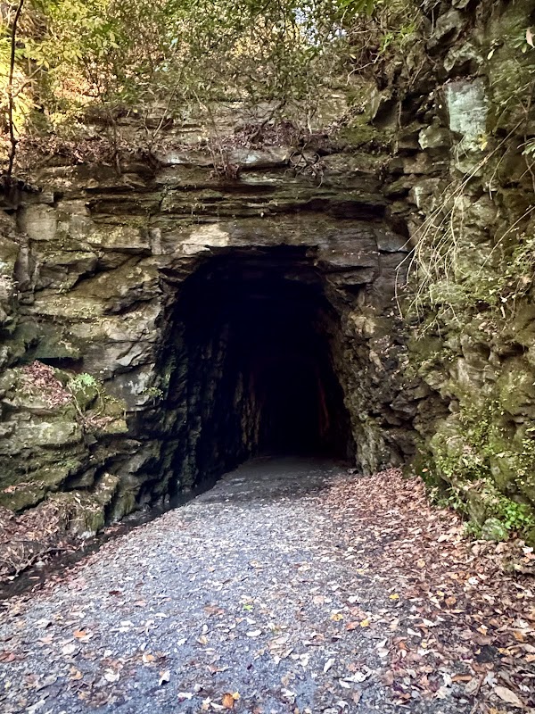 Stumphouse Tunnel 5