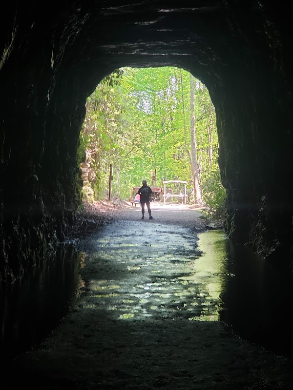 Stumphouse Tunnel 4