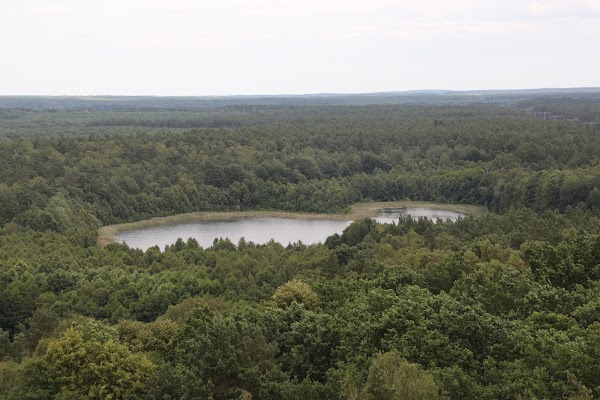 Nationalpark Müritz 3