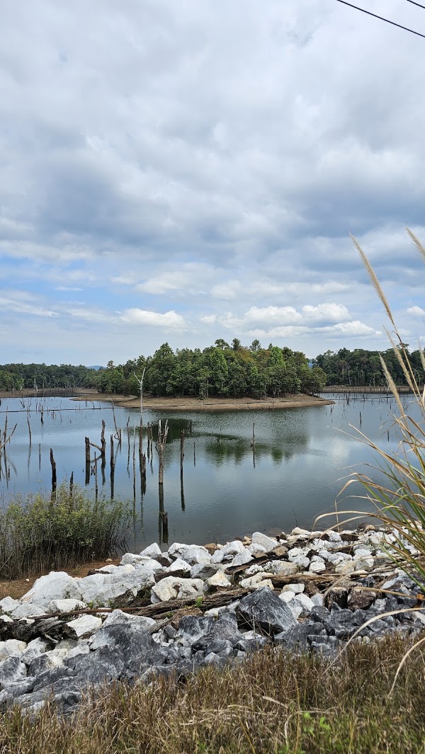 Flooded Forest Viewpoint 3
