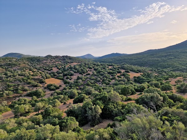 Parque Natural Los Alcornocales 1
