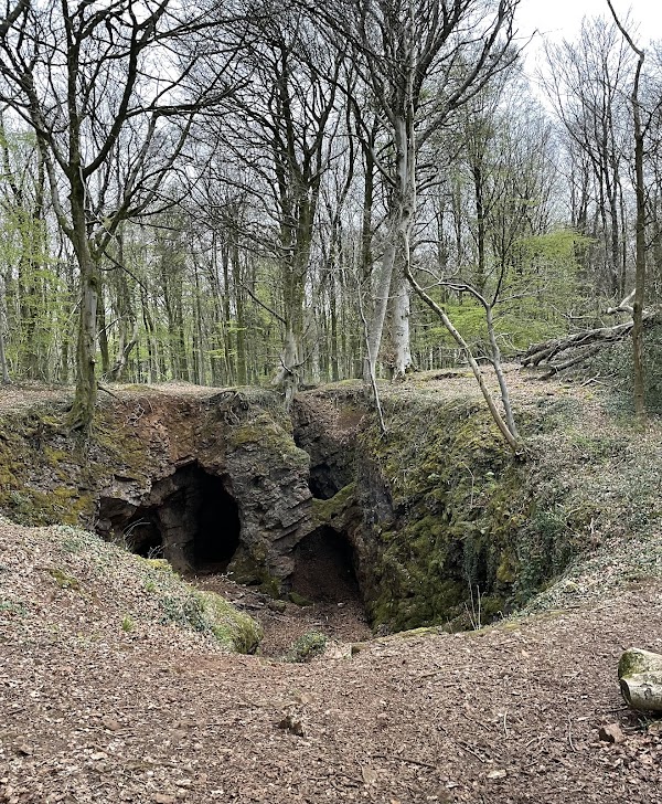 Fforest Fawr 1