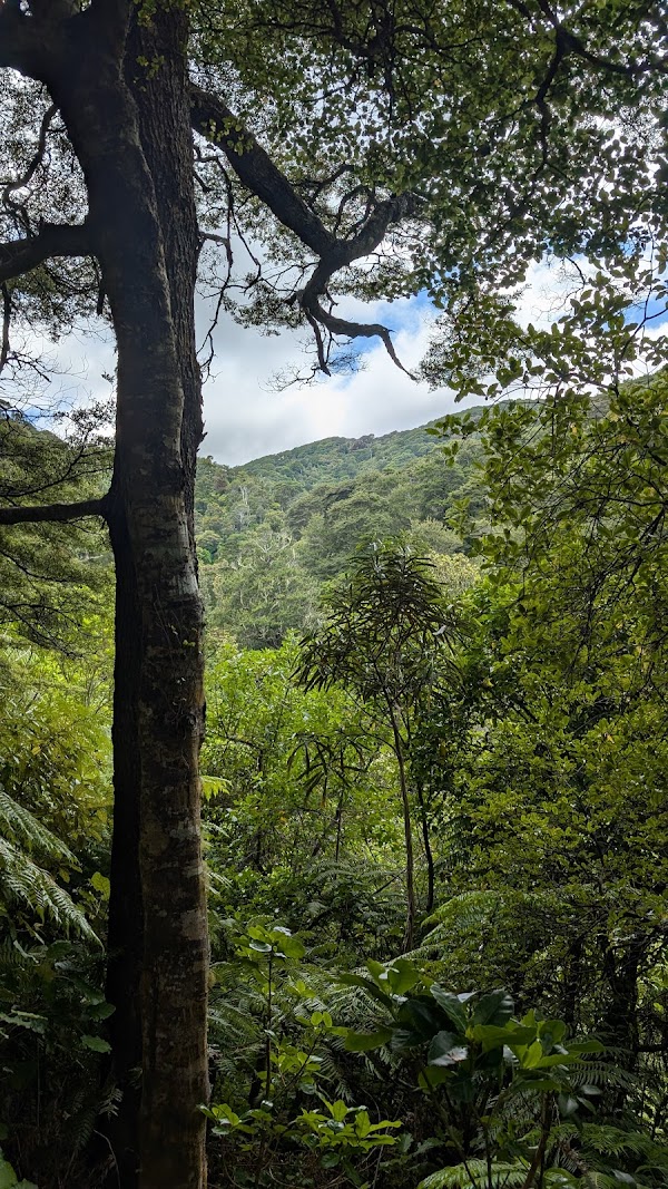 East Harbour Regional park