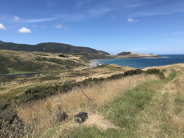 East Harbour Regional park 5