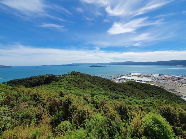 East Harbour Regional park 2