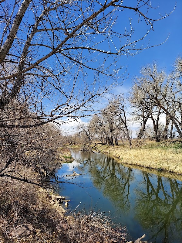 Cache la Poudre River 1